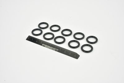 GARNITURA FLANSA LICHID RACIRE FEBEST RINGWH006PCS10 6