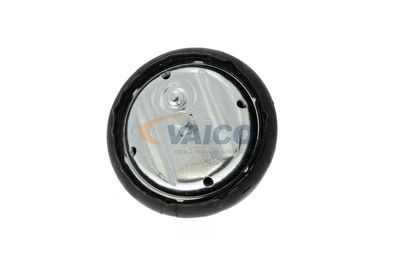 SUPORT MOTOR VAICO V2010251 49