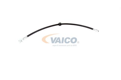 FURTUN FRANA VAICO V201909 58