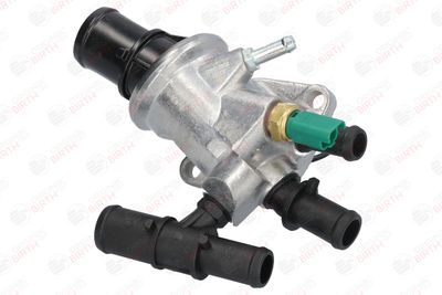 FLANSA LICHID RACIRE BIRTH 80007 3