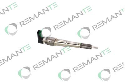 INJECTOR REMANTE 002003002229R 3