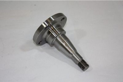 BUTUC ROATA CORP AXA