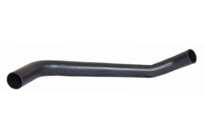 FURTUN EAR SUPRAALIMENTARE