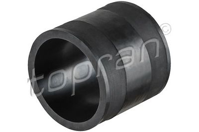 FURTUN EAR SUPRAALIMENTARE TOPRAN 113914