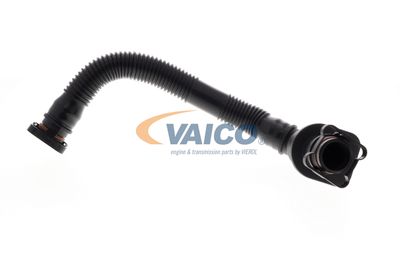 FURTUN AERISIRE BLOC MOTOR VAICO V203576 13