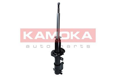 Shock Absorber 2000485