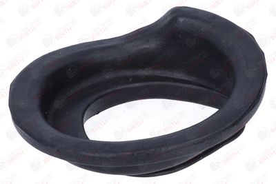 SAIBA ARC BIRTH 56745 5