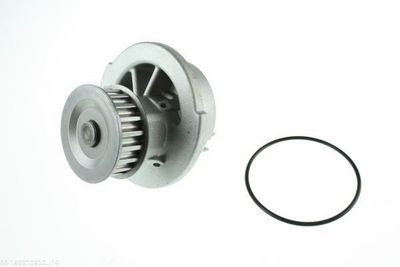 POMPă DE APă RăCIRE MOTOR