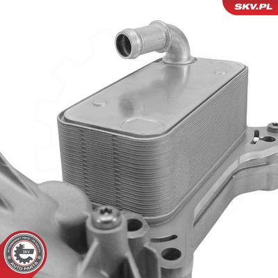 RADIATOR ULEI ULEI MOTOR ESEN SKV 31SKV512 3
