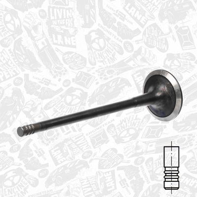 SUPAPA EVACUARE ET ENGINETEAM VE0141