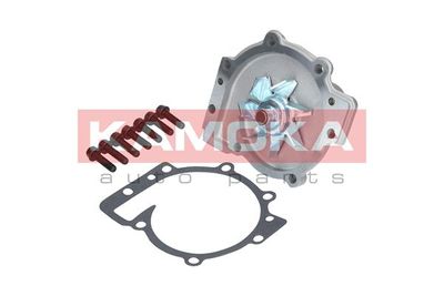 Water Pump, engine cooling T0137