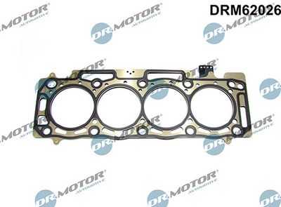 Těsnění, hlava válce LIZARTE DRM62026