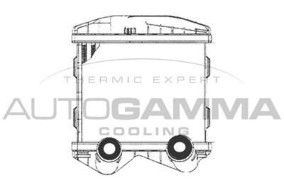 AUTOGAMMA 102409 Интеркулер 