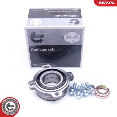 SET RULMENT ROATA ESEN SKV 29SKV202 3