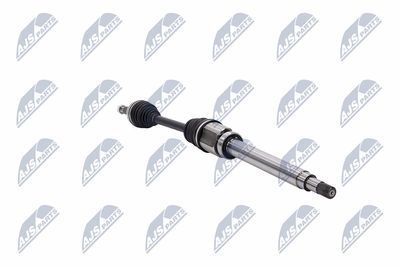 PLANETARA NTY NPWFR054 31