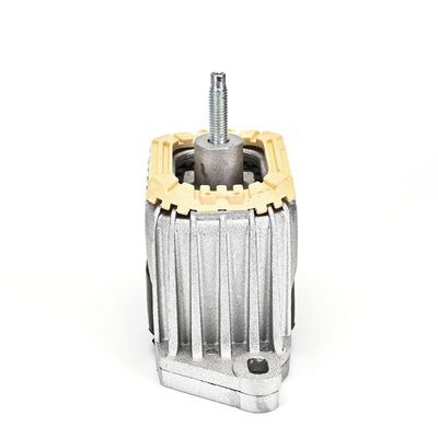 LAGERUNG MOTOR DELPHI TEM271 8