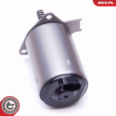 ELEMENT DE REGLARE ARBORE EXCENTIRC (CURSA VARIABILA VENTIL ESEN SKV 96SKV087 2