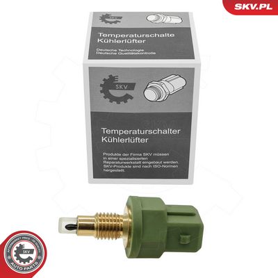 ESEN SKV - Snímač teploty nasávaného vzduchu MG, ROVER, LAND ROVER , 81SKV210