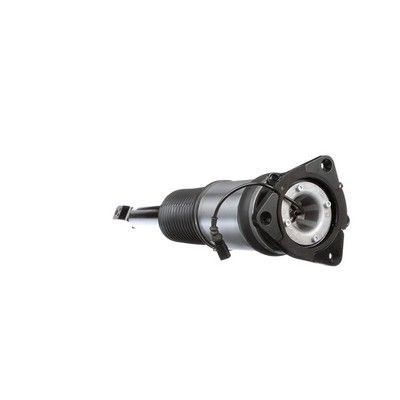 LUFTFEDERBEIN Arnott AS2959 20