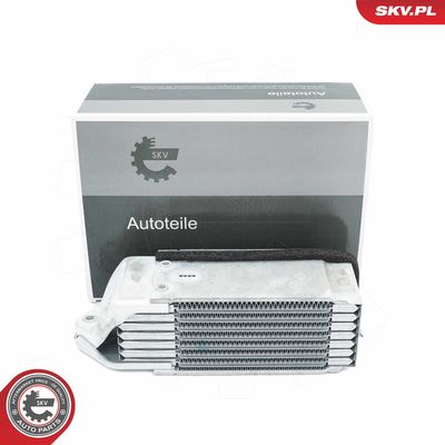 RADIATOR ULEI ULEI MOTOR