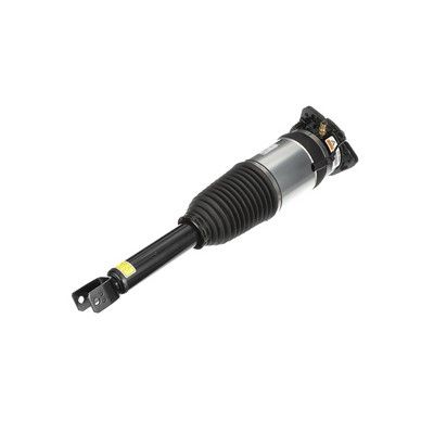 LUFTFEDERBEIN Arnott AS2969 37