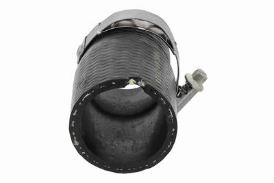 FURTUN EAR SUPRAALIMENTARE ACKOJA A520874 4