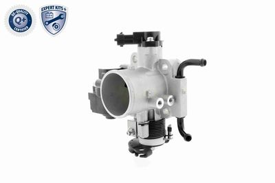 CARCASA CLAPETA ACKOJA A53810002 5