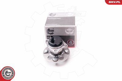 Wheel Bearing Kit 29SKV017