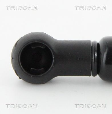Amortizor portbagaj TRISCAN 8710 16257