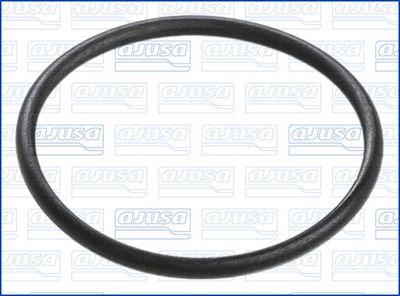 GARNITURA POMPA COMBUSTIBIL