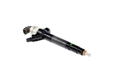 INJECTOR REMANTE 002003000087R 51