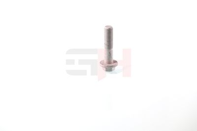 SURUB CAPAT DE AX GH GH393055 58