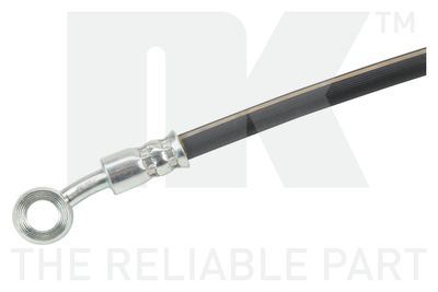 FURTUN FRANA NK 852643 1