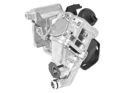 AGR-VENTIL BorgWarner 710435D0 1