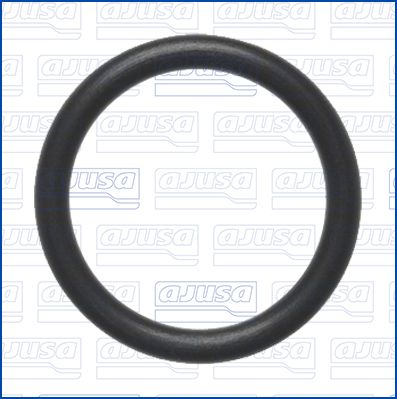 GARNITURA CONDUCTA LICHID DE RACIRE