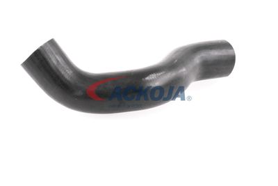 FURTUN EAR SUPRAALIMENTARE ACKOJA A380307 32