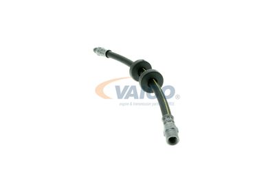 FURTUN FRANA VAICO V101043 20