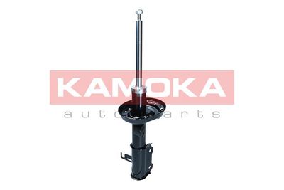 Shock Absorber 2000562