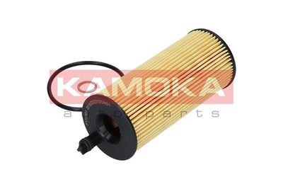 Oil Filter F110901