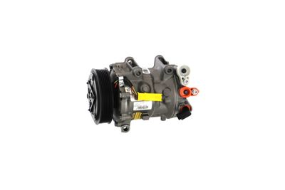 COMPRESOR CLIMATIZARE REMANTE 005001000084R 12