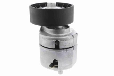 INTINZATOR CUREA CUREA DISTRIBUTIE