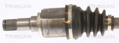 PLANETARA TRISCAN 854042533 1