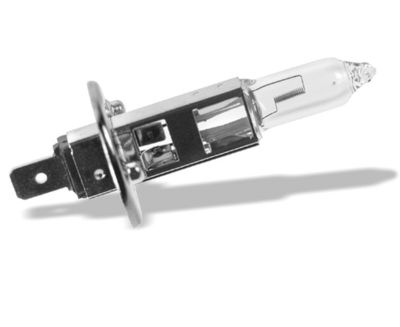 GLüHLAMPE NEBELSCHEINWERFER