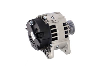 GENERATOR / ALTERNATOR REMANTE 011003000135R 38