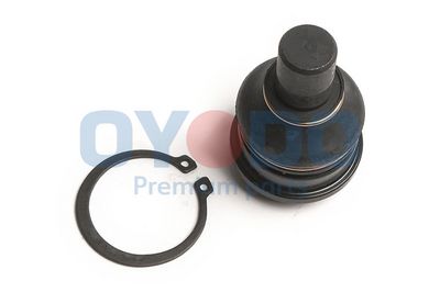 Šarnyras / girgždukas