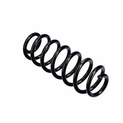 ARC SPIRAL EIBACH R13605 22