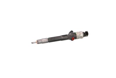 INJECTOR REMANTE 002003002030R 13