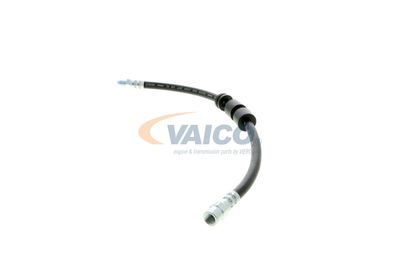 FURTUN FRANA VAICO V204105 12