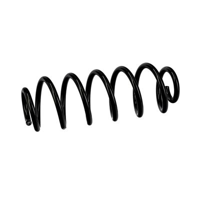 ARC SPIRAL EIBACH R10141 6