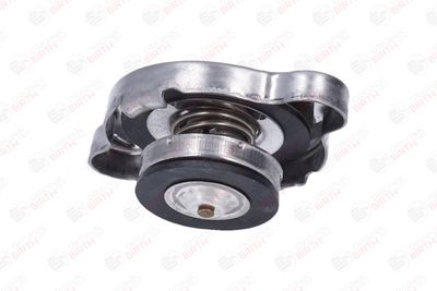 BUSON RADIATOR BIRTH 80429 7